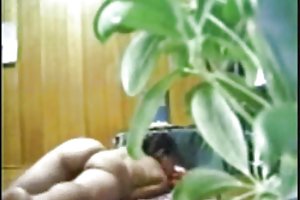 عشق عروسک سفت خروس شلخته است
