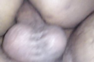 گربه تنگ سیاه سخت دمار از روزگارمان درآورد